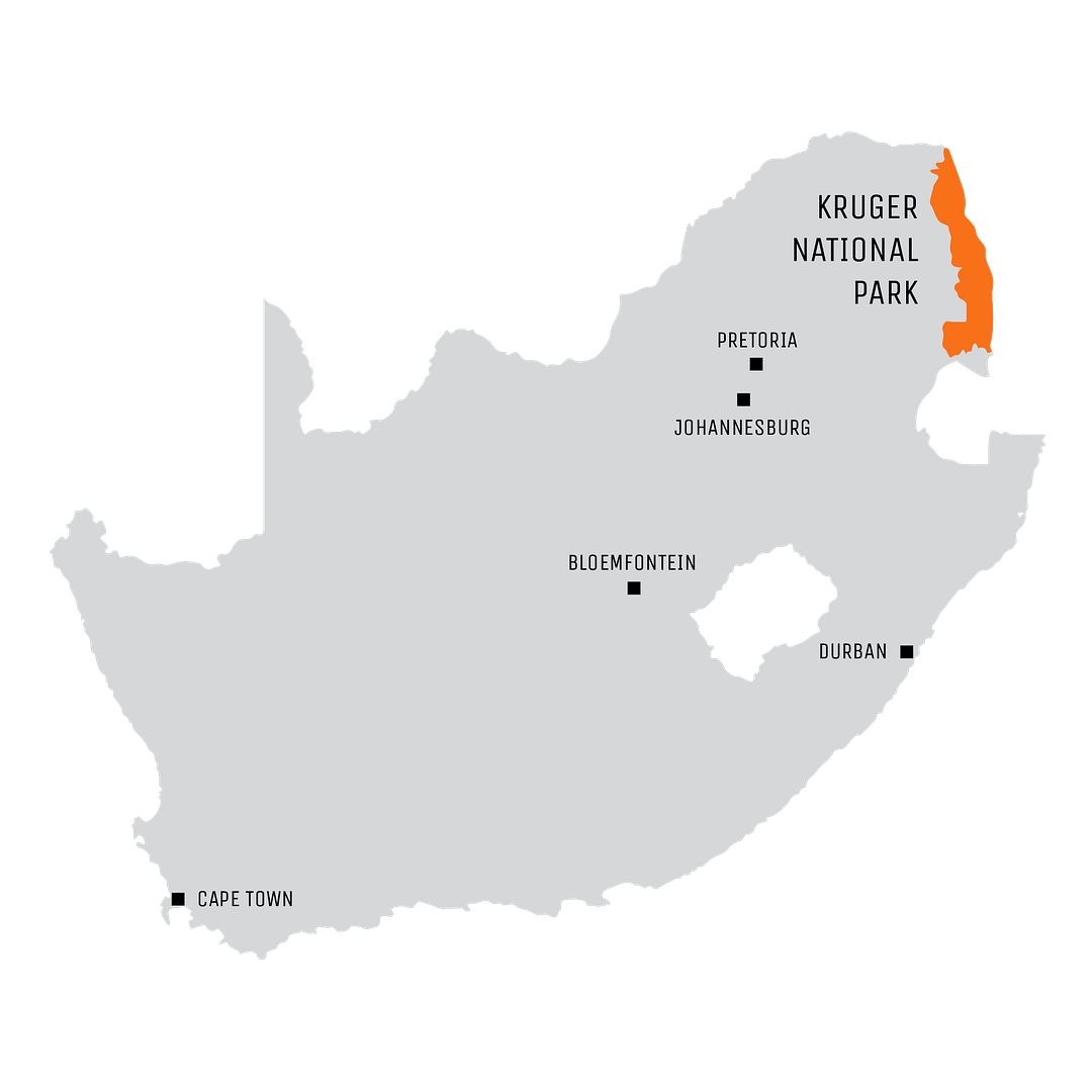kruger park map